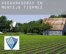 Aseguradoras en  Montejo de Tiermes
