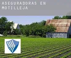 Aseguradoras en  Motilleja