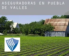 Aseguradoras en Puebla de Valles