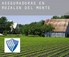 Aseguradoras en  Rozalén del Monte