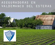 Aseguradoras en  Valdemanco del Esteras