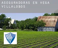 Aseguradoras en  Vega de Villalobos
