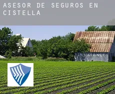 Asesor de seguros en  Cistella