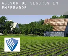 Asesor de seguros en  Emperador