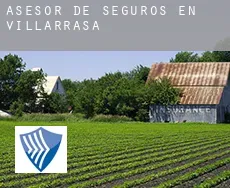 Asesor de seguros en  Villarrasa