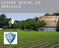 Seguro dental en  Brazuelo