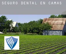 Seguro dental en  Camas
