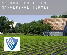 Seguro dental en  Navalperal de Tormes