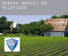 Seguro dental en  Velefique