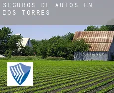 Seguros de autos en  Dos Torres