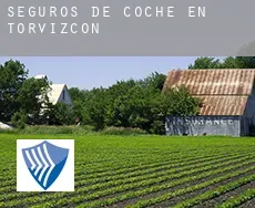 Seguros de coche en  Torvizcón