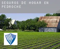 Seguros de hogar en  Pedroche