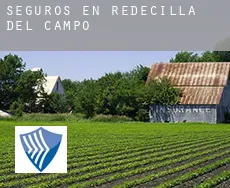 Seguros en  Redecilla del Campo