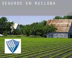 Seguros en  Ruiloba