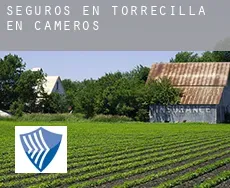 Seguros en  Torrecilla en Cameros