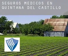 Seguros medicos en  Quintana del Castillo