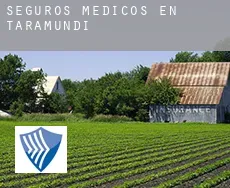 Seguros medicos en  Taramundi