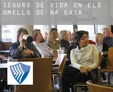 Seguro de vida en  els Omells de na Gaia