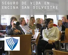 Seguro de vida en  Encina de San Silvestre