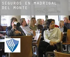 Seguros en  Madrigal del Monte