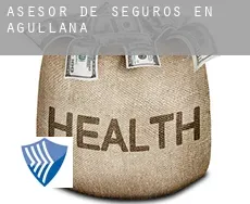 Asesor de seguros en  Agullana