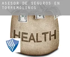 Asesor de seguros en  Torremolinos
