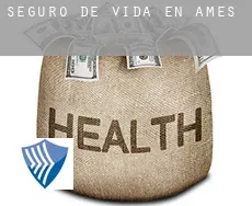 Seguro de vida en  Amés