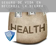 Seguro de vida en  Becerril de la Sierra