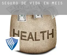 Seguro de vida en  Meis