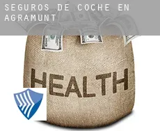 Seguros de coche en  Agramunt