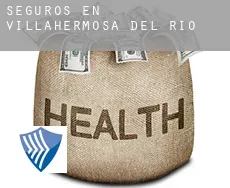 Seguros en  Villahermosa del Río