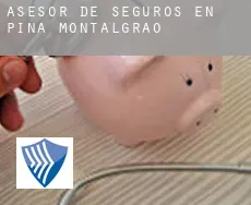 Asesor de seguros en  Pina de Montalgrao