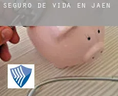 Seguro de vida en  Jaén
