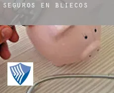 Seguros en  Bliecos