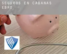 Seguros en  Cabañas de Ebro