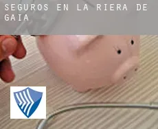 Seguros en la Riera de Gaià