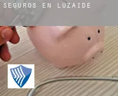 Seguros en  Luzaide / Valcarlos