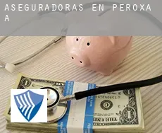 Aseguradoras en  Peroxa (A)