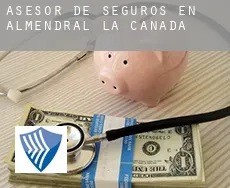 Asesor de seguros en  Almendral de la Cañada