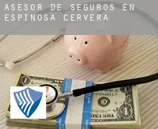 Asesor de seguros en  Espinosa de Cervera