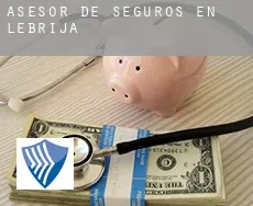 Asesor de seguros en  Lebrija
