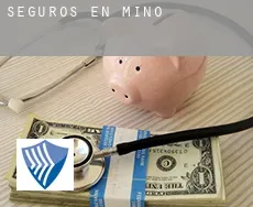 Seguros en  Miño