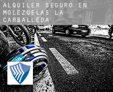 Alquiler seguro en  Molezuelas de la Carballeda