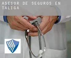 Asesor de seguros en  Táliga