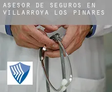 Asesor de seguros en  Villarroya de los Pinares