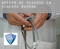 Asesor de seguros en  Viñegra de Moraña