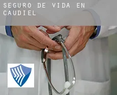 Seguro de vida en  Caudiel