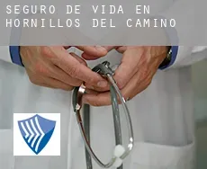Seguro de vida en  Hornillos del Camino