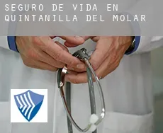 Seguro de vida en  Quintanilla del Molar
