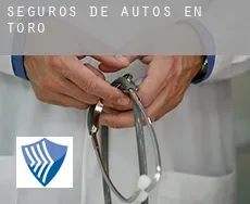 Seguros de autos en  Toro